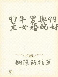 97牛男与99兔女婚配好吗