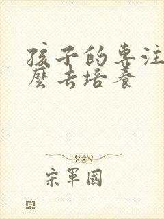 孩子的专注力怎么去培养