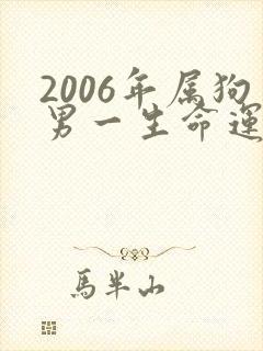 2006年属狗男一生命运