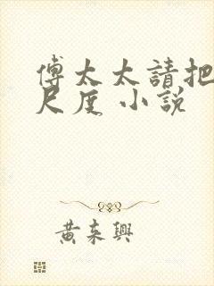 傅太太请把握好尺度 小说