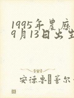 1995年农历9月13日出生男孩命运