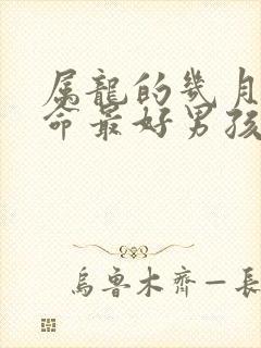 属龙的几月生的命最好男孩