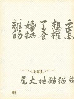 离婚了想要孩子的抚养权怎么办封面