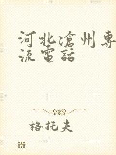 河北沧州专线物流电话