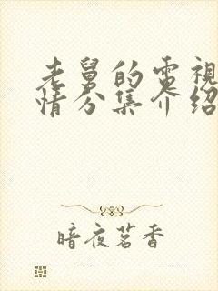 老舅的电视剧剧情分集介绍