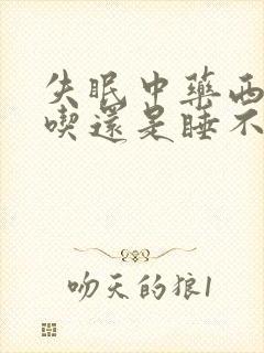 失眠中药西药都吃还是睡不着