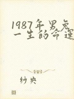 1987年男兔一生的命运