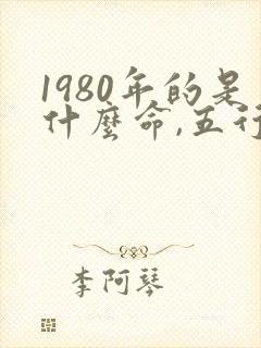 1980年的是什么命,五行属性