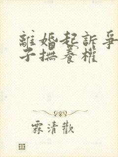 离婚起诉争夺孩子抚养权