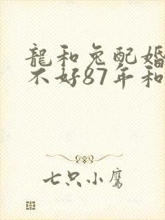 龙和兔配婚姻好不好87年和88年封面