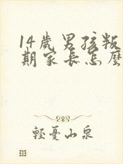 14岁男孩叛逆期家长怎么办