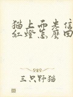 猫上面光信号闪红灯怎么回事