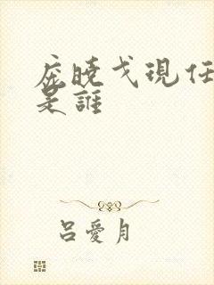 庞晓戈现任丈夫是谁