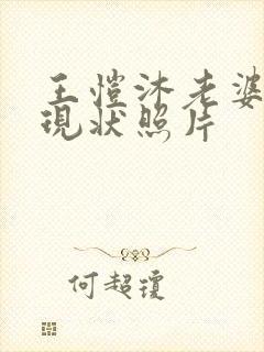 王恺沐老婆陈静现状照片