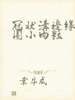 冠状沟边缘有一圈小肉粒封面