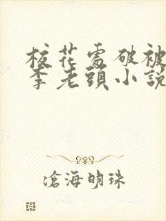 校花处破被灌满李老头小说封面