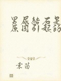 男尿结石是什么原因引起的啊