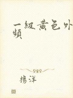 一级黄色外国视频