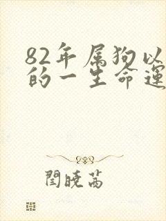 82年属狗以后的一生命运封面
