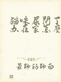 猫咪尿闭了怎么办在家怎么处理