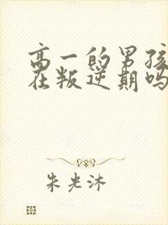 高一的男孩子还在叛逆期吗?