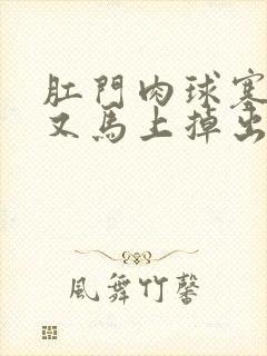 肛门肉球塞回去又马上掉出来怎么办