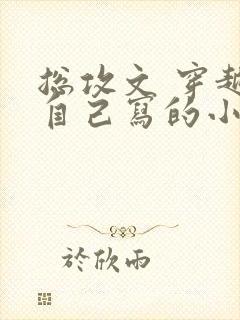 总攻文 穿越到自己写的小说里封面