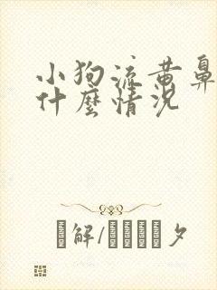 小狗流黄鼻涕是什么情况