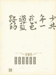 路过我年少时光的蓝色一共多少集