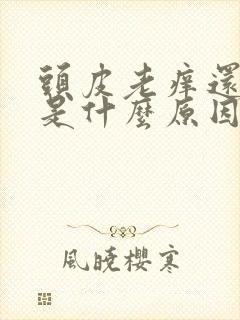 头皮老痒还脱发是什么原因