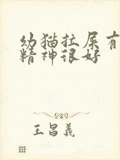 幼猫拉屎有血但精神很好