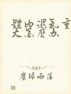 体内湿气重肚子大怎么办封面