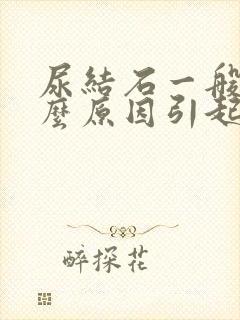 尿结石一般是什么原因引起的