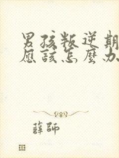 男孩叛逆期家长应该怎么办