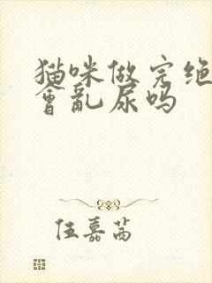 猫咪做完绝育还会乱尿吗