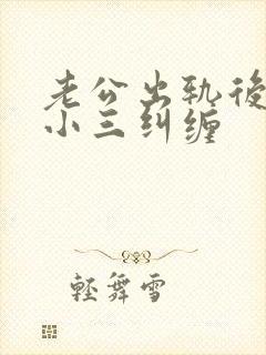 老公出轨后回归小三纠缠