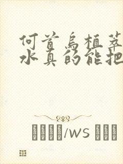 何首乌植萃洗发水真的能把白头发洗黑吗封面