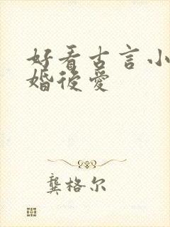 好看古言小说先婚后爱封面