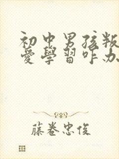 初中男孩叛逆不爱学习咋办