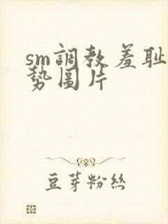 sm调教羞耻姿势图片