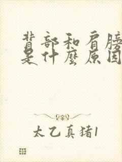 背部和肩膀疼痛是什么原因封面