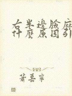 右半边脸麻木是什么原因引起的