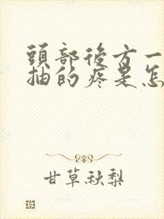 头部后方一抽一抽的疼是怎么回事封面