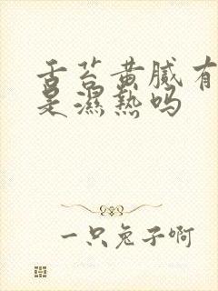 舌苔黄腻有齿痕是湿热吗