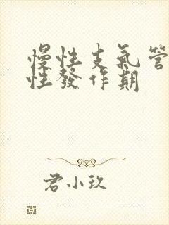 慢性支气管炎急性发作期