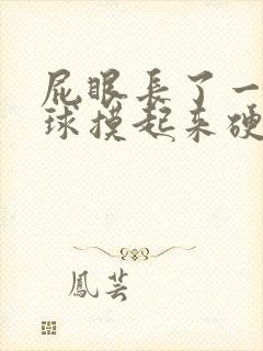 屁眼长了一个肉球摸起来硬