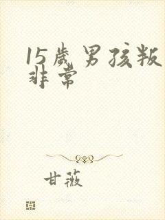 15岁男孩叛逆非常