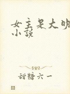 女主是大明星的小说