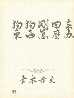 狗狗刚回来不吃东西怎么办