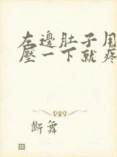 左边肚子用手按压一下就疼怎么回事封面